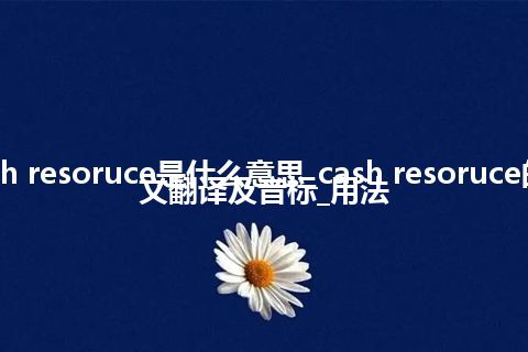 cash resoruce是什么意思_cash resoruce的中文翻译及音标_用法