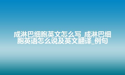 成淋巴细胞英文怎么写_成淋巴细胞英语怎么说及英文翻译_例句