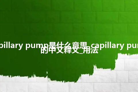 capillary pump是什么意思_capillary pump的中文释义_用法