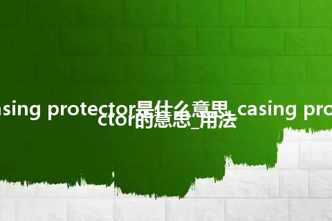 casing protector是什么意思_casing protector的意思_用法