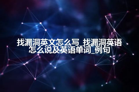 找漏洞英文怎么写_找漏洞英语怎么说及英语单词_例句