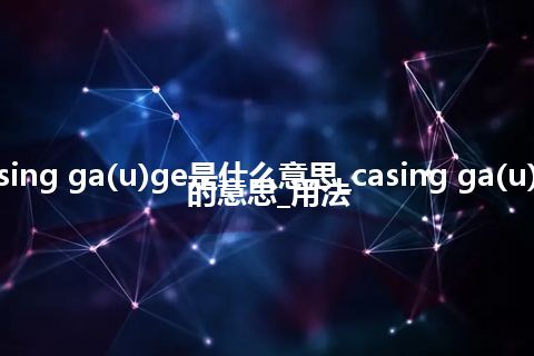 casing ga(u)ge是什么意思_casing ga(u)ge的意思_用法