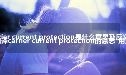 carrier current protection是什么意思及反义词_翻译carrier current protection的意思_用法