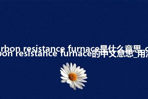 carbon resistance furnace是什么意思_carbon resistance furnace的中文意思_用法