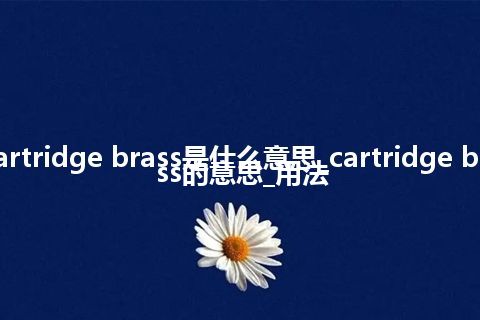 cartridge brass是什么意思_cartridge brass的意思_用法