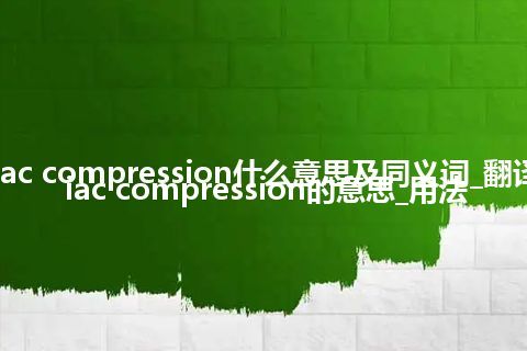 cardiac compression什么意思及同义词_翻译cardiac compression的意思_用法