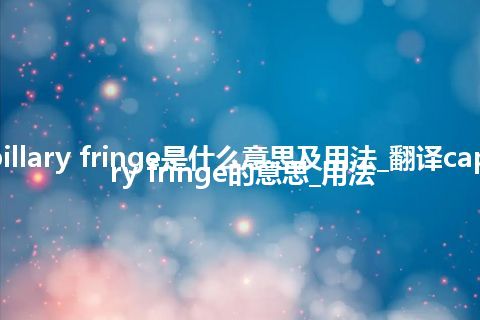 capillary fringe是什么意思及用法_翻译capillary fringe的意思_用法