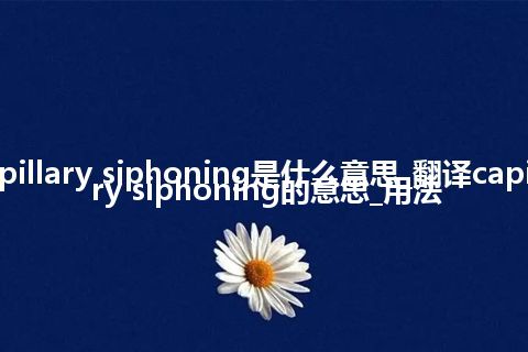 capillary siphoning是什么意思_翻译capillary siphoning的意思_用法