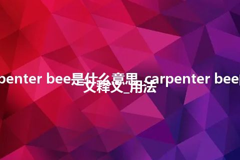 carpenter bee是什么意思_carpenter bee的中文释义_用法