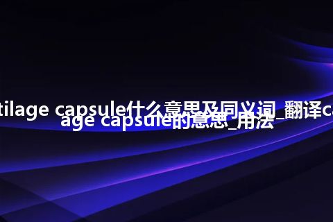 cartilage capsule什么意思及同义词_翻译cartilage capsule的意思_用法