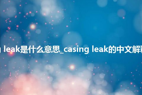 casing leak是什么意思_casing leak的中文解释_用法