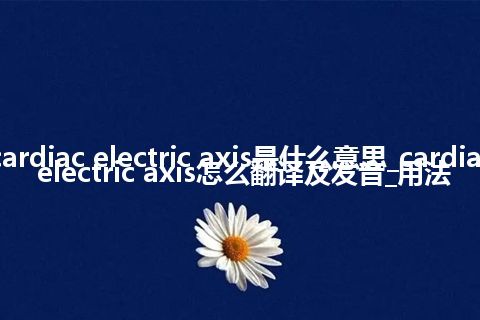 cardiac electric axis是什么意思_cardiac electric axis怎么翻译及发音_用法