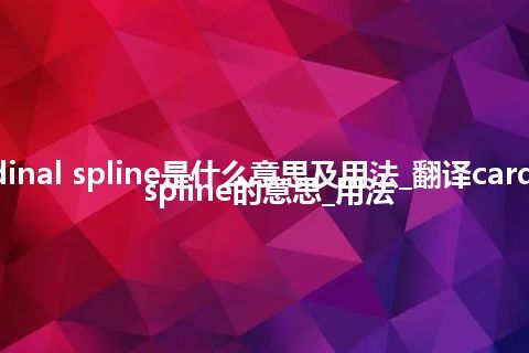 cardinal spline是什么意思及用法_翻译cardinal spline的意思_用法