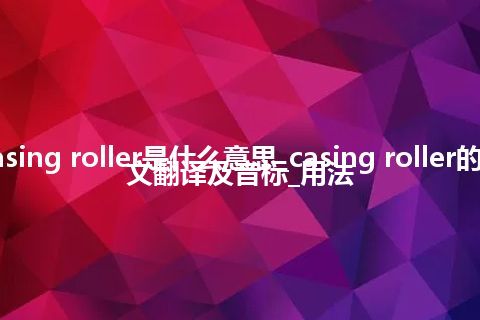 casing roller是什么意思_casing roller的中文翻译及音标_用法