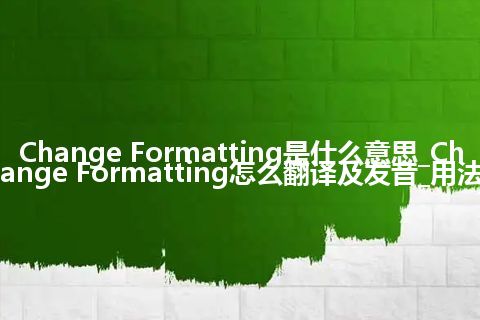 Change Formatting是什么意思_Change Formatting怎么翻译及发音_用法