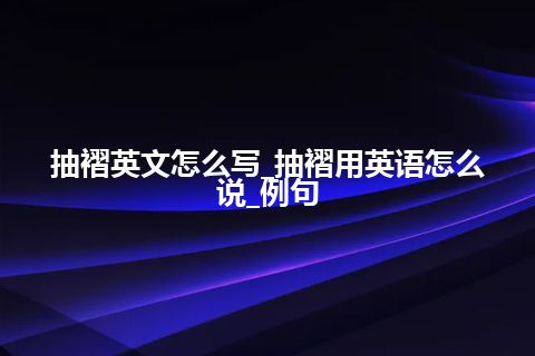 抽褶英文怎么写_抽褶用英语怎么说_例句