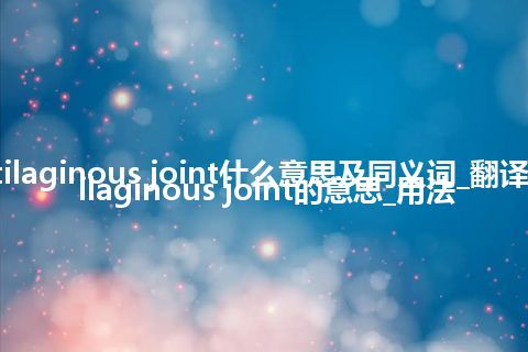 cartilaginous joint什么意思及同义词_翻译cartilaginous joint的意思_用法