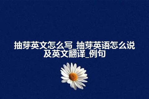 抽芽英文怎么写_抽芽英语怎么说及英文翻译_例句