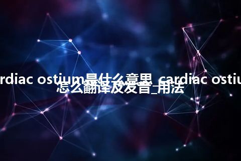 cardiac ostium是什么意思_cardiac ostium怎么翻译及发音_用法