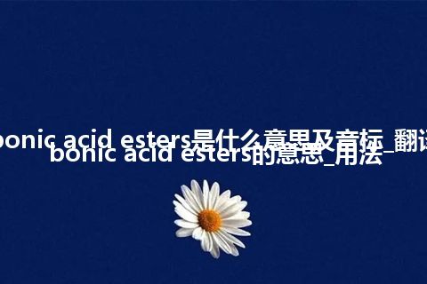 carbonic acid esters是什么意思及音标_翻译carbonic acid esters的意思_用法