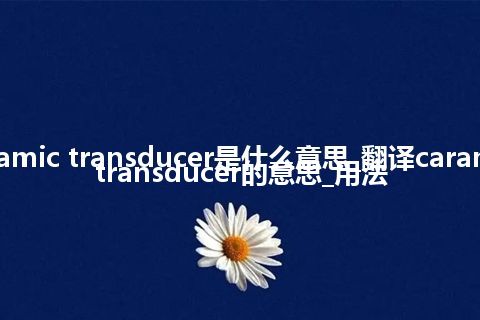 caramic transducer是什么意思_翻译caramic transducer的意思_用法