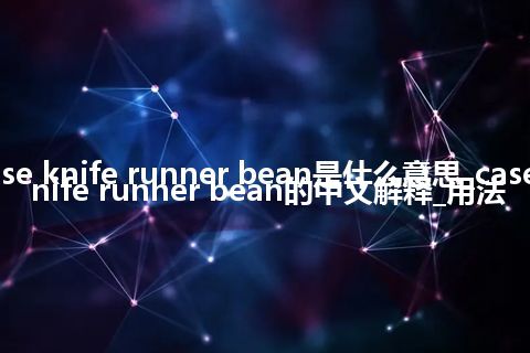 case knife runner bean是什么意思_case knife runner bean的中文解释_用法