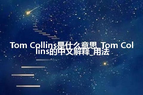 Tom Collins是什么意思_Tom Collins的中文解释_用法