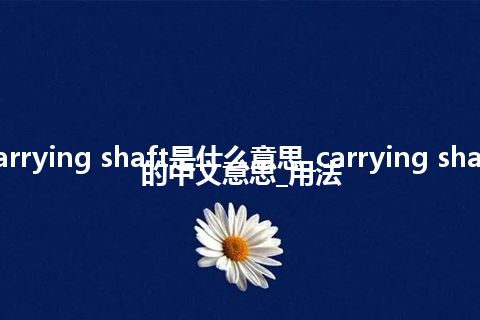 carrying shaft是什么意思_carrying shaft的中文意思_用法