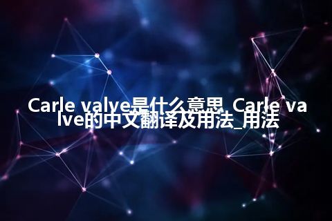 Carle valve是什么意思_Carle valve的中文翻译及用法_用法