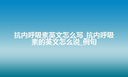 抗内呼吸素英文怎么写_抗内呼吸素的英文怎么说_例句