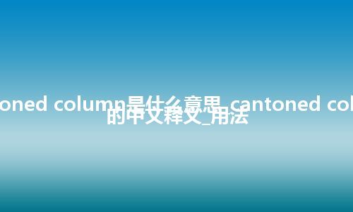 cantoned column是什么意思_cantoned column的中文释义_用法