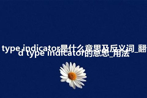 card type indicator是什么意思及反义词_翻译card type indicator的意思_用法