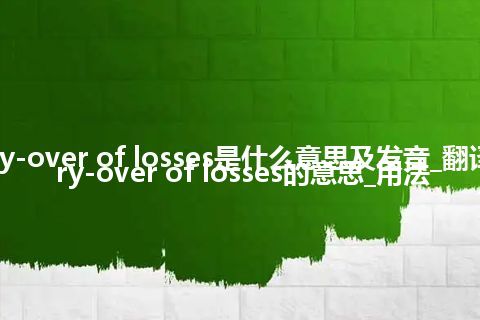 carry-over of losses是什么意思及发音_翻译carry-over of losses的意思_用法