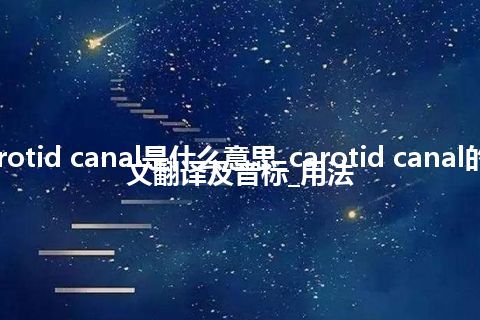 carotid canal是什么意思_carotid canal的中文翻译及音标_用法