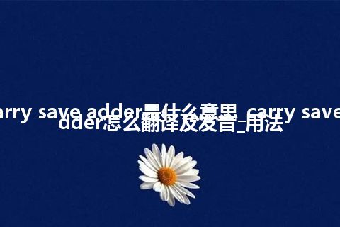 carry save adder是什么意思_carry save adder怎么翻译及发音_用法