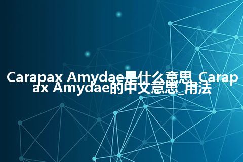 Carapax Amydae是什么意思_Carapax Amydae的中文意思_用法