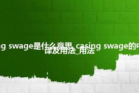 casing swage是什么意思_casing swage的中文翻译及用法_用法