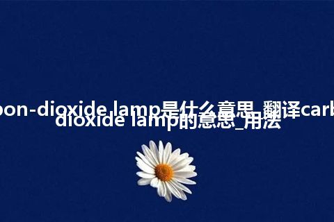 carbon-dioxide lamp是什么意思_翻译carbon-dioxide lamp的意思_用法