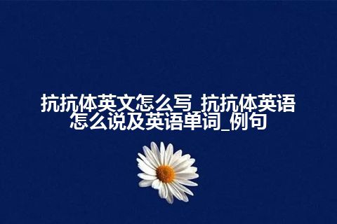 抗抗体英文怎么写_抗抗体英语怎么说及英语单词_例句