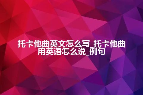 托卡他曲英文怎么写_托卡他曲用英语怎么说_例句