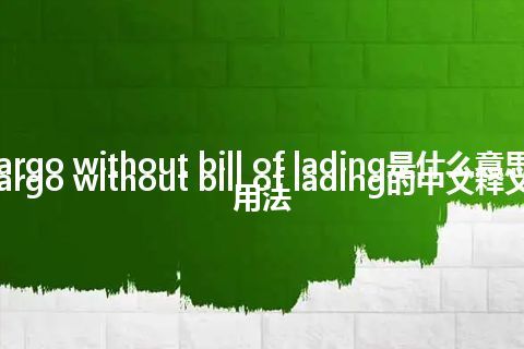 cargo without bill of lading是什么意思_cargo without bill of lading的中文释义_用法