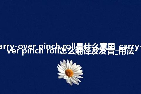 carry-over pinch roll是什么意思_carry-over pinch roll怎么翻译及发音_用法