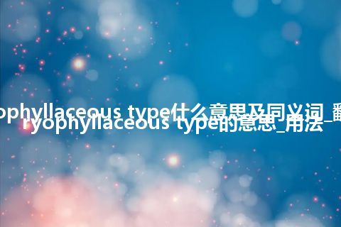 caryophyllaceous type什么意思及同义词_翻译caryophyllaceous type的意思_用法