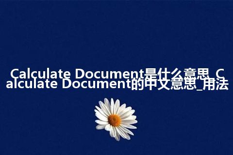 Calculate Document是什么意思_Calculate Document的中文意思_用法