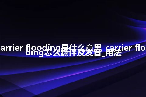 carrier flooding是什么意思_carrier flooding怎么翻译及发音_用法