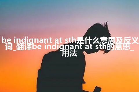 be indignant at sth是什么意思及反义词_翻译be indignant at sth的意思_用法