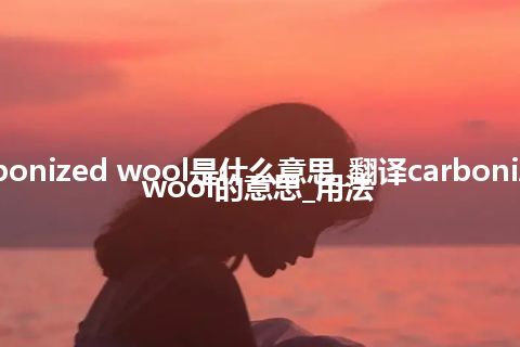 carbonized wool是什么意思_翻译carbonized wool的意思_用法