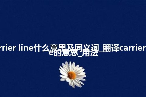 carrier line什么意思及同义词_翻译carrier line的意思_用法