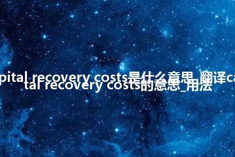 capital recovery costs是什么意思_翻译capital recovery costs的意思_用法