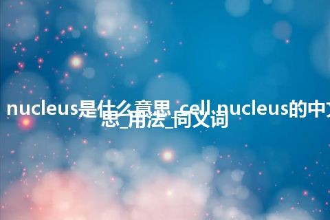 cell nucleus是什么意思_cell nucleus的中文意思_用法_同义词